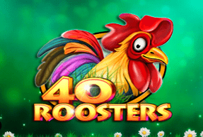 40 Roosters by CT Interactive