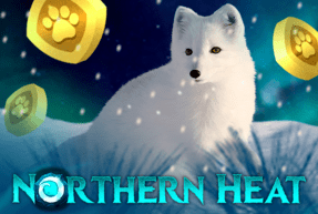 Northern Heat by Mascot