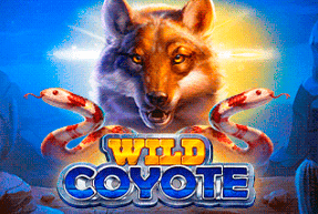 Wild Coyote by Amigo Gaming