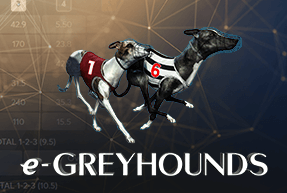 Greyhounds by Excellent Reel