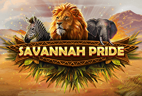 Savannah Pride by Red Tiger