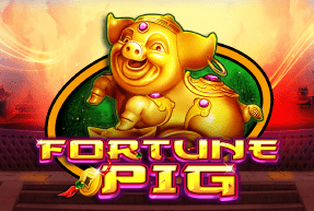Fortune Pig by CT Interactive