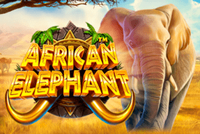 African Elephant by Pragmatic Play