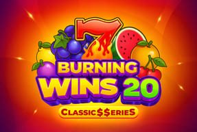 Burning Wins 20: Classic$$erieS by NetGame
