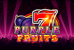 Purple Fruits by CT Interactive