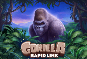 Gorilla Rapid Link by NetGame