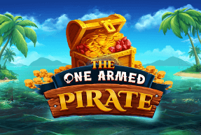 The One Armed Pirate by NetGame