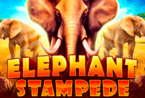 Elephant Stampede by Ruby Play