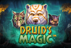 Druid’s Magic by NetEnt