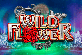 Wild Flower by Big Time Gaming