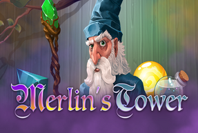 Merlin's Tower by Mascot