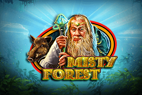 Misty Forest by CT Interactive