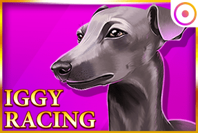 Iggy Racing by OnlyPlay