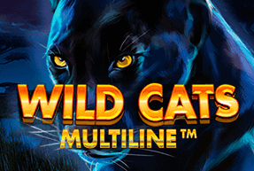 Wild Cats Multiline by Red Tiger