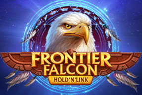 Frontier Falcon: Hold 'N' Link by NetGame