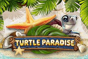 Turtle Paradise by Red Tiger