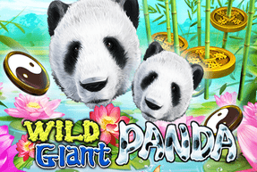 Wild Giant Panda by Eurasian Gaming