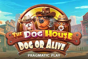 The Dog House – Dog or Alive by Pragmatic Play