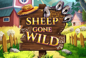 Sheep Gone Wild by Red Tiger