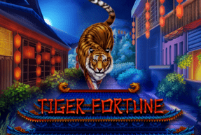 Tiger Fortune by Boldplay