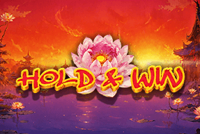 Lotus Wealth Wonders Deluxe by BetGames