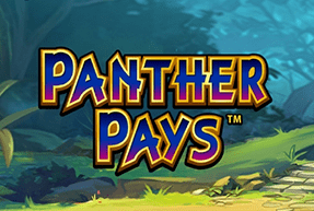 Panther Pays by Playtech