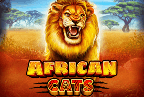 African Cats by Ruby Play