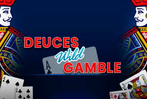 Deuces Wild Gamble by Concept Gaming