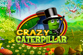 Crazy Caterpillar by CT Interactive
