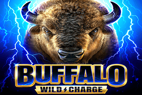Buffalo: Wild Charge by Enjoy Gaming