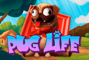 Pug Life by Hacksaw