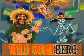 Wild Sombrero by 7Mojos