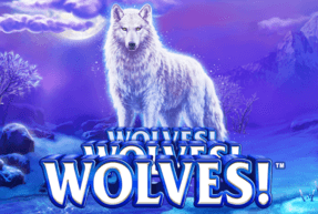WOLVES WOLVES WOLVES by Playtech