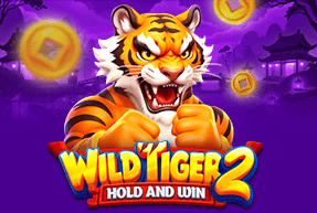 Wild Tiger 2 by BGaming