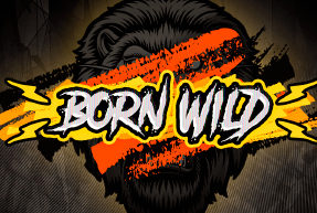 Born Wild by Hacksaw