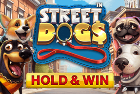 Street dogs by Nucleus