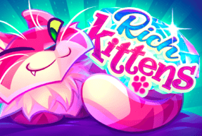 Rich Kittens by Apollo Games