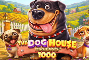 The Dog House Megaways 1000 by Pragmatic Play