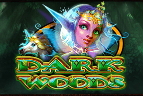 Dark Woods by CT Interactive