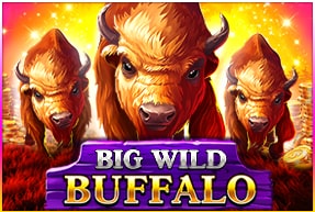 Big Wild Buffalo by Belatra