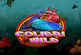 Colibri Wild by CT Interactive