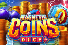 Magnetic Coins Dice by BF Games