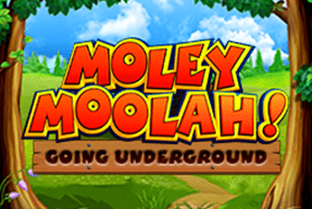 Moley Moolah by Yggdrasil