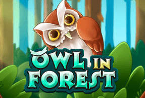 Owl In Forest by KA Gaming