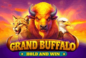 Grand Buffalo Hold and Win by BGaming
