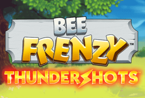 Bee Frenzy Thundershots by Playtech