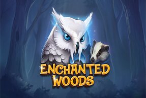 Enchanted Woods by CT Interactive