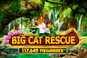 Big Cat Rescue Megaways by Red Tiger