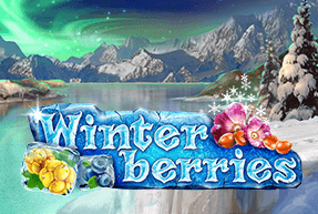 Winterberries by Yggdrasil