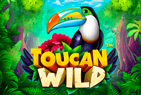 Toucan Wild by Skywind